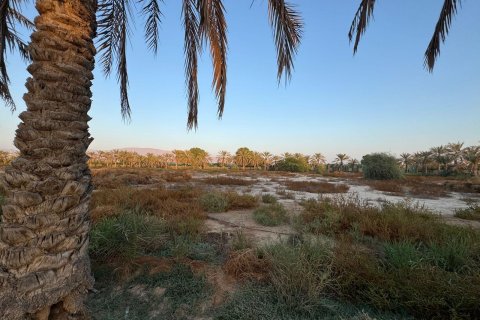 Ras Al Khaimah, UAE의 판매용 농장 침실 3개, 22575제곱미터 번호 656842 - 사진 5