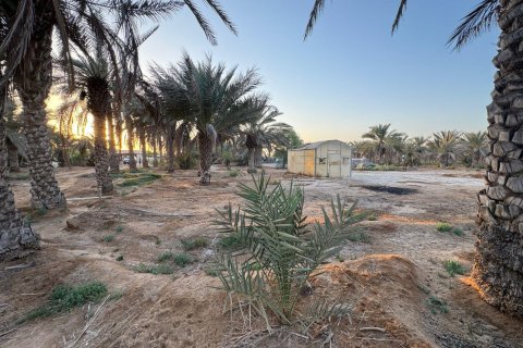 Ras Al Khaimah, UAE의 판매용 농장 침실 3개, 22575제곱미터 번호 656842 - 사진 2