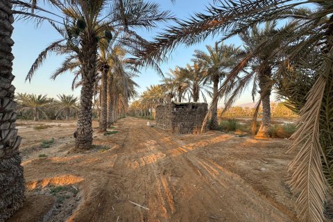 Ras Al Khaimah, UAE의 판매용 농장 침실 3개, 22575제곱미터 번호 656842 - 사진 4