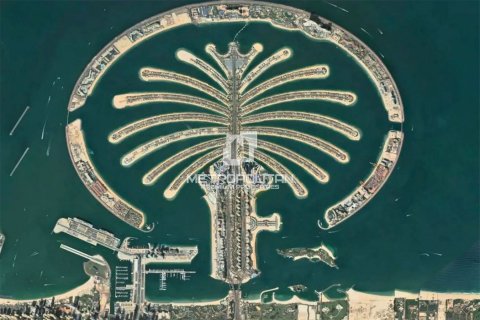 Land zum Verkauf in Palm Jebel Ali, Dubai, VAE 2252 m2 Nr. 665201 - Foto 19