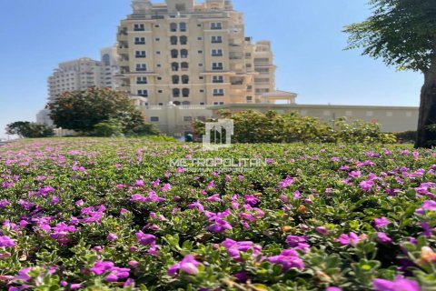 Apartemen di Al Hamra Village, Ras Al Khaimah, UEA 54 m2 nomor 730263 - foto 10