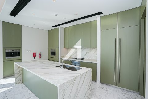 Penthauss Downtown Dubai (Downtown Burj Dubai), Dubaijā, AAE 4 istabas, 480.9 m2 Nr. 639196 - attēls 8