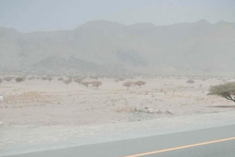 Купить земельный участок в Shamal Julphar, Рас-эль-Хайма, ОАЭ 9290м2, № 656861 - фото 5