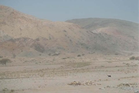 Купить земельный участок в Shamal Julphar, Рас-эль-Хайма, ОАЭ 9290м2, № 656861 - фото 12