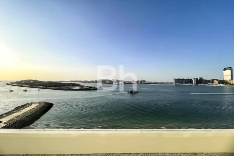Dubai Harbour, Dubai, संयुक्त अरब अमीरात में अपार्टमेंट, 1 बेडरूम, 66 वर्ग मीटर, संख्या 643297 - फ़ोटो 8