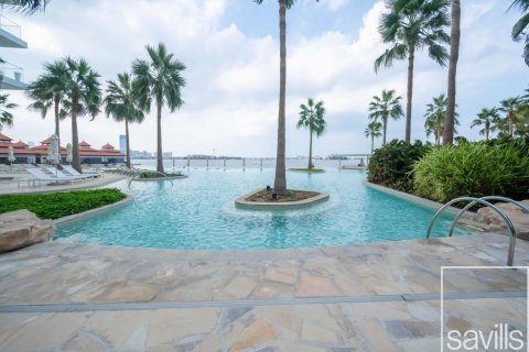Byt v Palm Jumeirah, Dubai, SAE 1 ložnice, 456 m² Č.: 635277 - fotografie 16