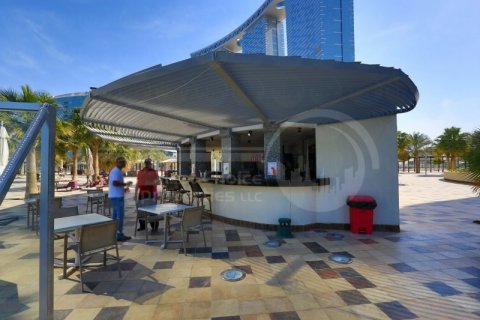 آپارتمان برای فروش در  Al Reem Island، Abu Dhabi، امارات متحده عربی  2 خوابه ، 161.6 متر مربع ، شماره 731393 - تصویر 19
