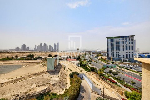 阿联酋 Dubai Dubai Festival City 待售 : 2 卧, 196.3 平方米 , 编号765274 - 照片 20