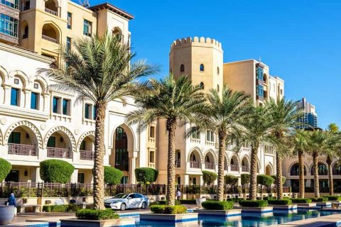 Правила ввоза животных в ОАЭ в 2025 году