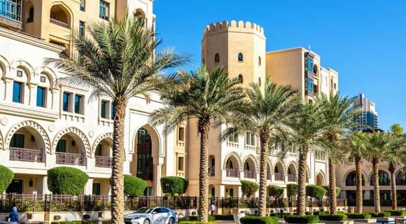 Rules for the import of animals to the UAE in 2025