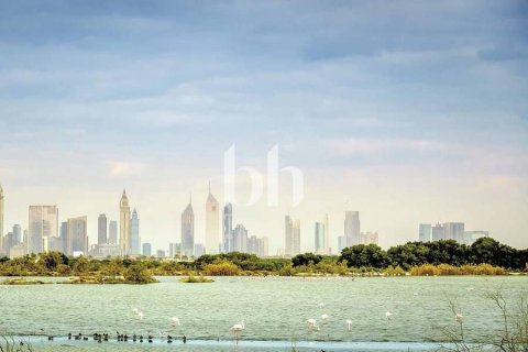 阿联酋 Dubai 待售 : 2 卧, 90 平方米 , 编号642773 - 照片 3