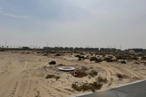 Pozemek v Jebel Ali, Dubai, SAE 986 m² Č.: 715691 - fotografie 6
