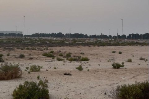 Pozemek v Jebel Ali, Dubai, SAE 986 m² Č.: 715691 - fotografie 5