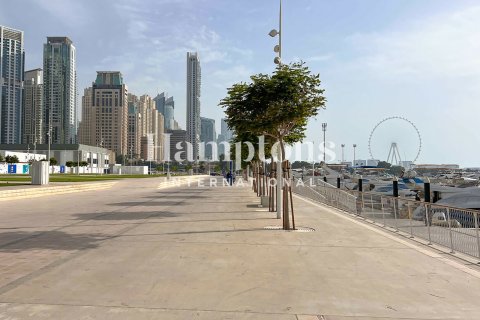 آپارتمان برای اجاره در Dubai Harbour، Dubai، امارات متحده عربی 1 خوابه ، 72.83595200 متر مربع ، شماره 681397 - تصویر 2