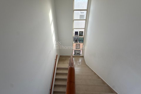 Arabian Ranches, Dubai, UAE의 임대용 빌라 침실 3개, 588제곱미터 번호 726919 - 사진 11