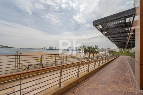 آپارتمان برای اجاره در Palm Jumeirah، Dubai، امارات متحده عربی 2 خوابه ، 159 متر مربع ، شماره 643177 - تصویر 11