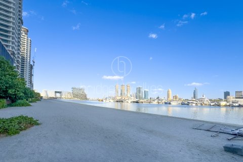 Dubai Harbour, Dubai, संयुक्त अरब अमीरात में अपार्टमेंट, 4 बेडरूम, 230 वर्ग मीटर, संख्या 702189 - फ़ोटो 6