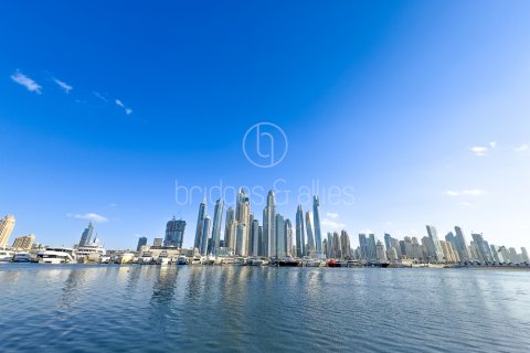 Dubai Harbour, Dubai, संयुक्त अरब अमीरात में अपार्टमेंट, 4 बेडरूम, 230 वर्ग मीटर, संख्या 702189 - फ़ोटो 2