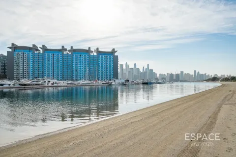 ویلا برای اجاره در Palm Jumeirah، Dubai، امارات متحده عربی 6 خوابه ، 650 متر مربع ، شماره 738473 - تصویر 18