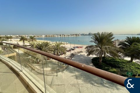 阿联酋 Dubai Palm Jumeirah 待售 : 3 卧, 222 平方米 , 编号671213 - 照片 2