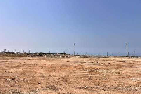 Terra para venda em Al Mairid, Ras Al Khaimah, EAU 1193 m2 № 656769 - foto 25