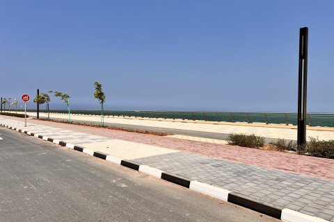 Terra para venda em Al Mairid, Ras Al Khaimah, EAU 1193 m2 № 656769 - foto 6