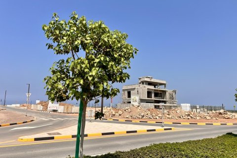 Terra para venda em Al Mairid, Ras Al Khaimah, EAU 1193 m2 № 656769 - foto 18