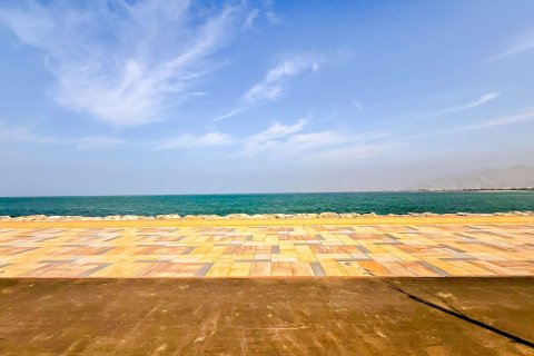 Tanah di Al Mairid, Ras Al Khaimah, UEA 997 m2 nomor 656749 - foto 3