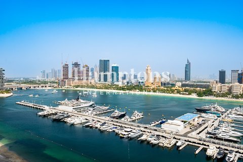 Lakás itt: Dubai Harbour, EAE, 1 hálószoba, 79.94024441 m², azonosító: 678661 - fénykép 12