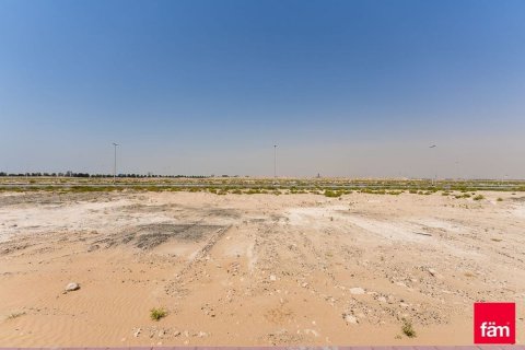 Lupain sa Jebel Ali, Dubai, UAE 961.2 sq.m. № 640331 - larawan 5