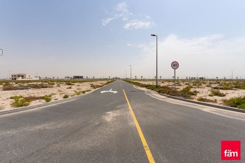 Lupain sa Jebel Ali, Dubai, UAE 961.2 sq.m. № 640331 - larawan 3