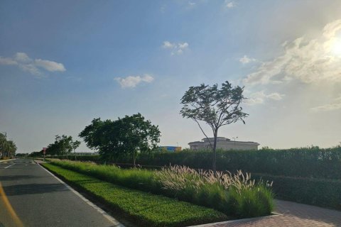 Land zum Verkauf in Jebel Ali, Dubai, VAE 929 m2 Nr. 682425 - Foto 7