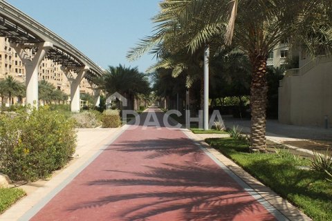 Lakás itt: Palm Jumeirah, Dubai, EAE, 1 hálószoba, 106 m², azonosító: 706802 - fénykép 10