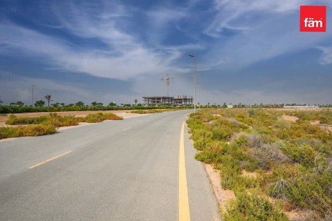 Land in Jebel Ali, Dubai, UAE 1001 sq.m. № 647725 - photo 14