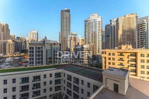 Byt v Dubai Marina, Dubai, SAE 1 ložnice, 76.46 m² Č.: 761789 - fotografie 12