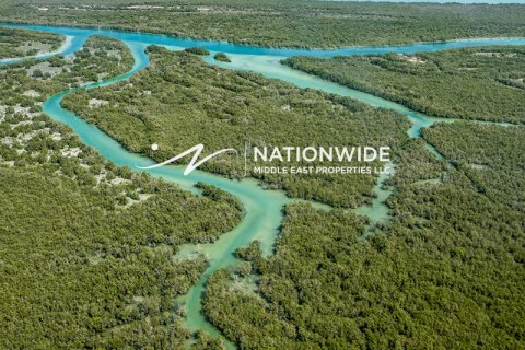 Villa te koop in Abu Dhabi, VAE 5 slaapkamers, 799 vr.m., nr 659805 - foto 18