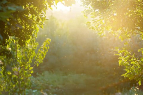 Купить квартиру в Мохаммед Бин Рашид Сити, Дубай, ОАЭ 1 спальня, 47м2, № 677619 - фото 12