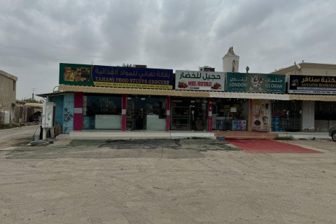 Negozio in vendita a Ras Al Khaimah, EAU 223 mq. № 656851 - foto 6