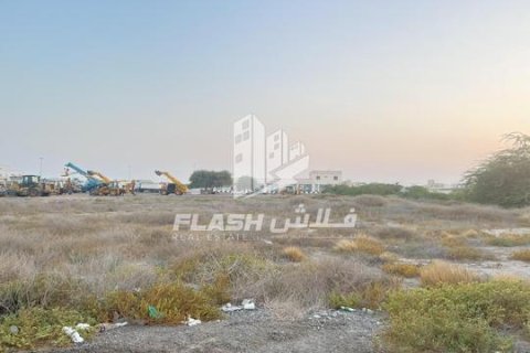 Купить земельный участок в Shamal Julphar, Рас-эль-Хайма, ОАЭ 10684м2, № 656183 - фото 12