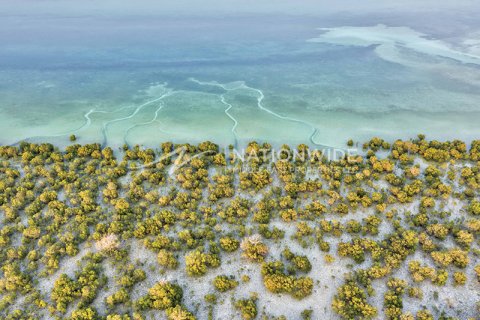 Stadthaus zum Verkauf in Abu Dhabi, VAE 2 Schlafzimmer, 145 m2 Nr. 678596 - Foto 13