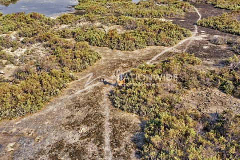 Stadthaus zum Verkauf in Abu Dhabi, VAE 2 Schlafzimmer, 145 m2 Nr. 678596 - Foto 12