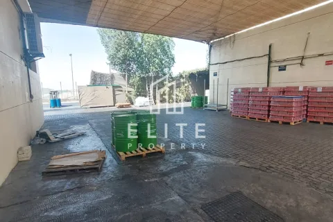 Almacén en venta en Sharjah, EAU 6039 m2 № 638861 - foto 10