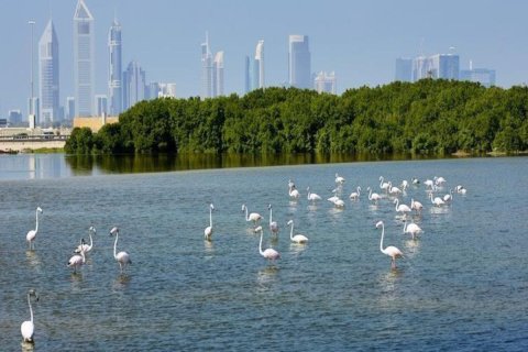 Apartament na sprzedaż w Ras Al Khor, Dubai, ZEA 1 sypialnia, 62.7 mkw., nr 735273 - zdjęcie 8