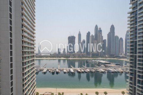 阿联酋 Dubai Dubai Harbour 待租 : 2 卧, 143 平方米 , 编号634923 - 照片 2