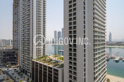 阿联酋 Dubai Dubai Harbour 待租 : 2 卧, 143 平方米 , 编号634923 - 照片 22