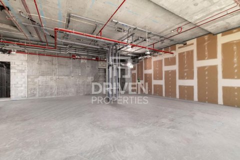 Müüa katusekorter asukohaga Zabeel, Dubai, AÜE: 5 magamistoaga, 1655 m² Nr 653921 - pilt 21