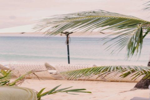 Vila di Dubai, UAE 3 bilik tidur, 459 meter persegi № 699116 - foto 10