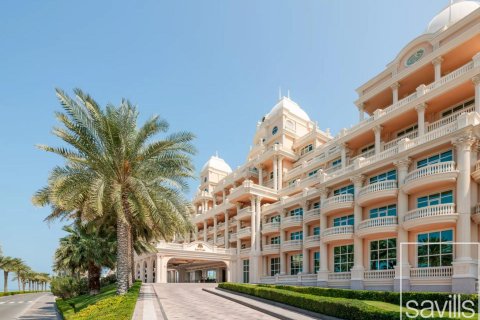 آپارتمان برای فروش در  Palm Jumeirah، Dubai، امارات متحده عربی  2 خوابه ، 390.19 متر مربع ، شماره 747373 - تصویر 30