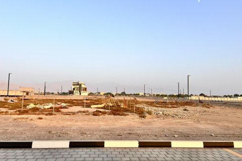 Tomt til salgs i Al Mairid, Ras Al Khaimah, Emiratene 486 kvm Nr. 656782 - Foto 14