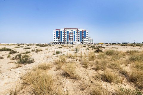 Tomt till försäljning i Dubai, UAE 4188 kvm Nr. 683700 - fotografi 3